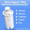 imageBrita Standard Water Filter for Pitchers and Dispensers BPAFree Reduces Copper Cadmium and Mercury Impurities Lasts Two Months or 40 Gallons Includes 2 Filters3 Count