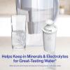 imageBrita Standard Water Filter for Pitchers and Dispensers BPAFree Reduces Copper Cadmium and Mercury Impurities Lasts Two Months or 40 Gallons Includes 2 Filters3 Count