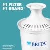 imageBrita Water Filter Pitcher for Tap and Drinking Water with 1 Standard Filter Lasts 2 Months 6Cup Capacity BPA Free Red